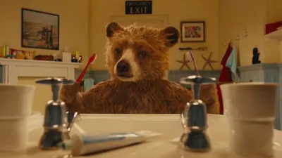 Ayı Paddington izle