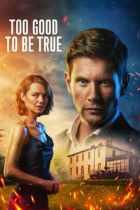 Too Good to Be True izle