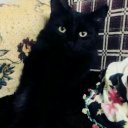 Deryas adlı kullanıcı