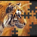 bigpicture adlı kullanıcı